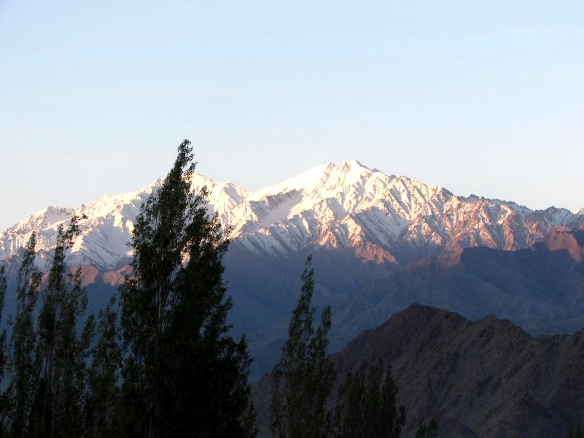 Hotel Kidar Leh Exterior foto